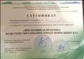 Сертификат участника городской научно-практической конференции Инклюзивная практика в системе образования города Новосибирска" 2017г.